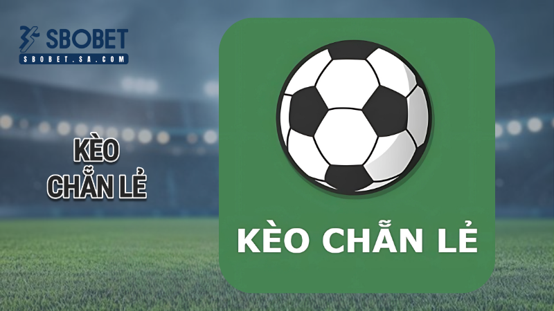 Kèo chẵn lẻ là gì? - Hướng dẫn đọc kèo và áp dụng chiến lược hiệu quả 1 kèo chẵn lẻ